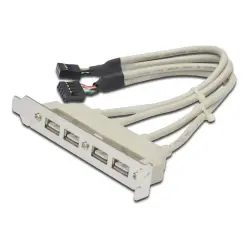 Digitus Bracket Conexión USB (2x10Pin a 4xAH) a Placa Base Gris