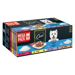 Cesar sobres en gelatina Senior 10+ para perros - 40 x 100 g