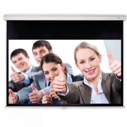 Celexon Deluxx Advanced Slowmotion Pantalla de Proyección Manual 270x203cm