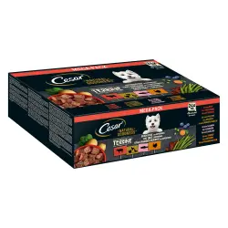 Cesar Natural Goodness con superalimentos 24 x 100 g - Terrina (ave, pavo, vacuno, salmón)