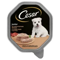 Cesar Junior Bowl 14 x 150 g - Pavo y ternera