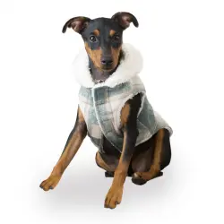 Outech Trenca Azul para perros