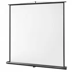 Celexon Ultramobile Professional Pantalla de Proyección 120x120cm