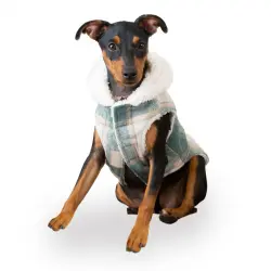 Outech Trenca Azul para perros