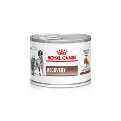 Royal Canin Canine & Feline Recovery (Lata) 195 gr.