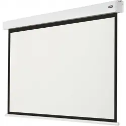 Celexon Motor Professional Plus Pantalla de Proyección con Batería V2.0 280x210cm 16:9