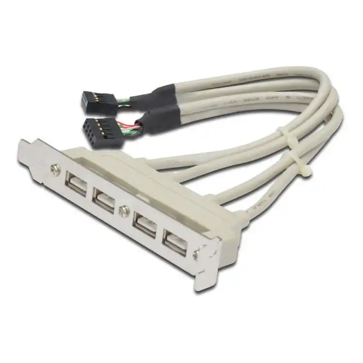Digitus Bracket Conexión USB (2x10Pin a 4xAH) a Placa Base Gris