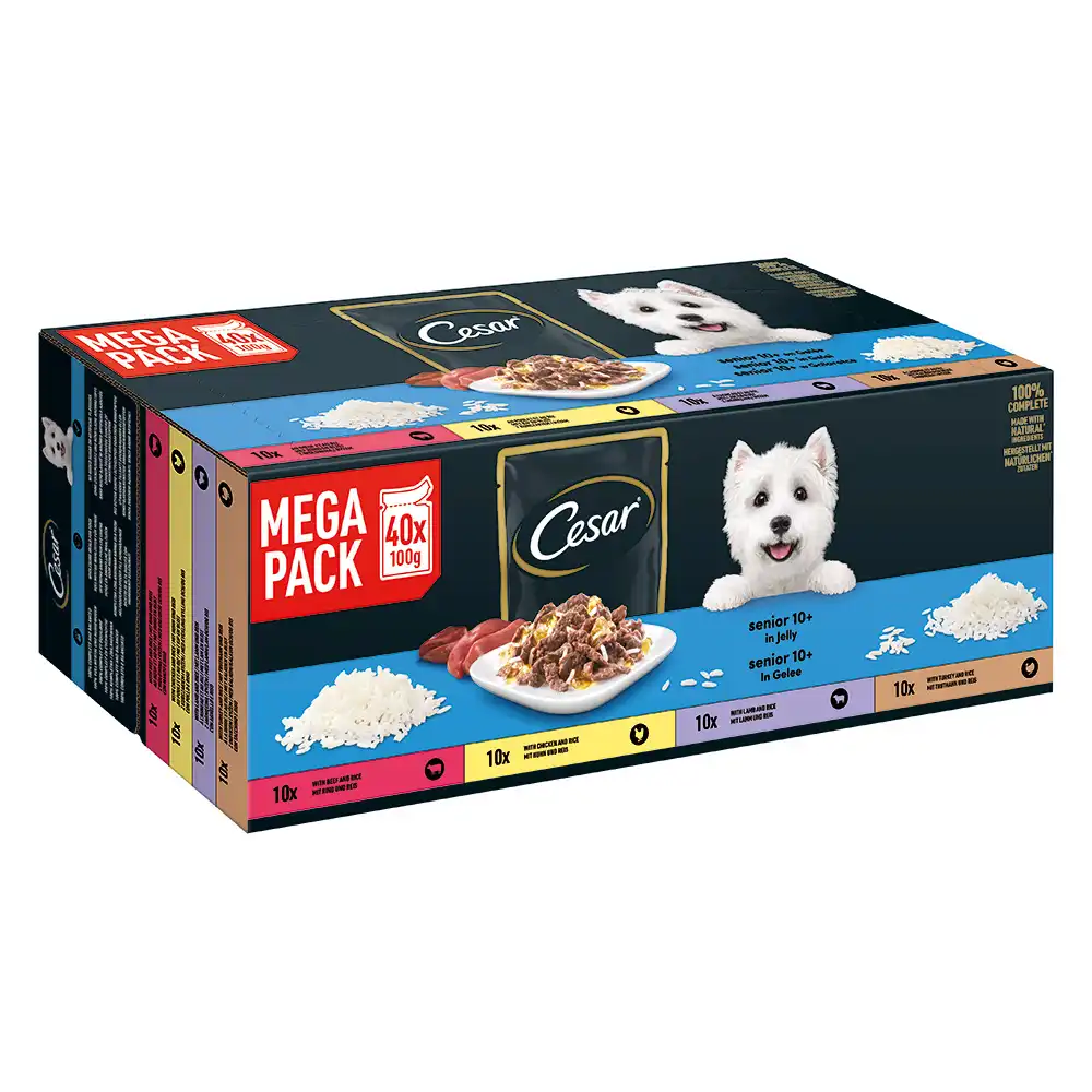 Cesar sobres en gelatina Senior 10+ para perros - 40 x 100 g