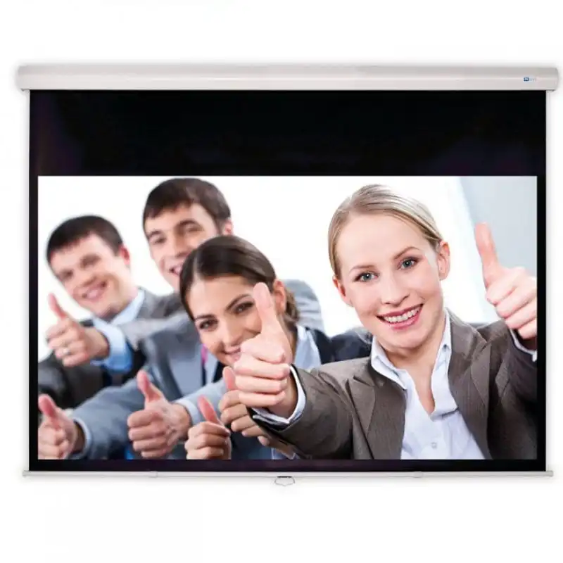 Celexon Deluxx Advanced Slowmotion Pantalla de Proyección Manual 270x203cm