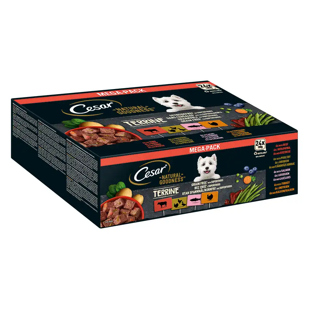Cesar Natural Goodness con superalimentos 24 x 100 g - Terrina (ave, pavo, vacuno, salmón)