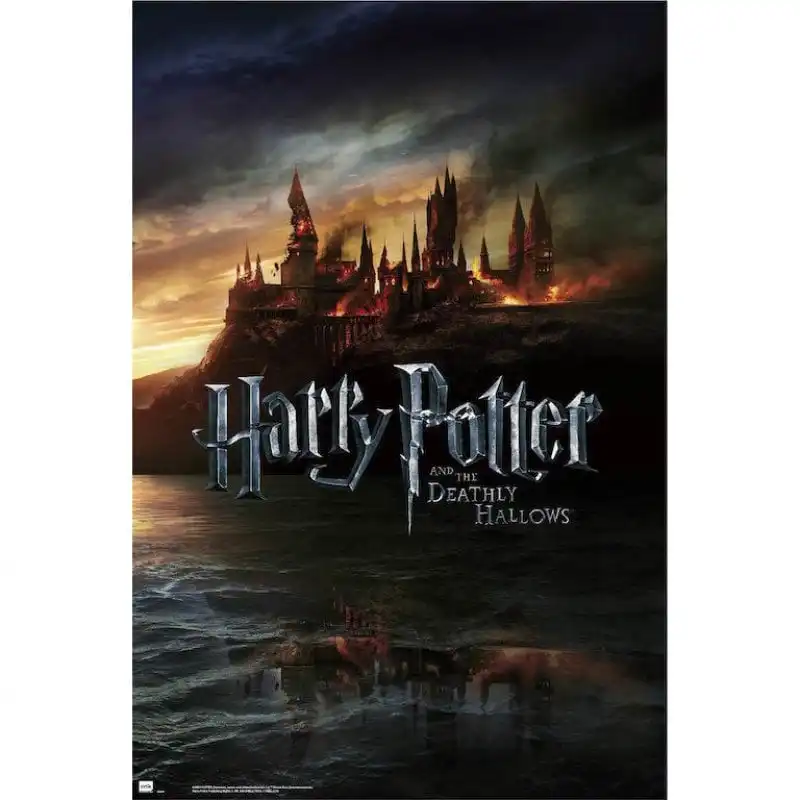 Erik Maxi Póster Harry Potter 2 91.5x61cm