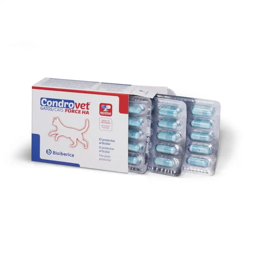 Bioiberica Condrovet Force HA Condroprotector para gatos