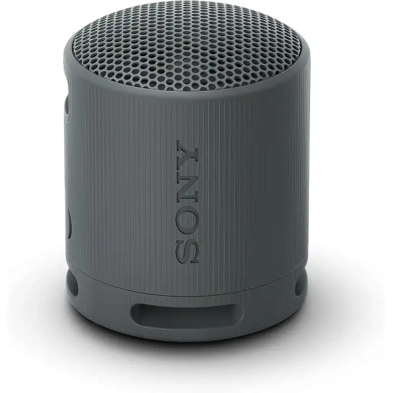 Sony SRS-XB100 Altavoz Portátil Bluetooth Negro