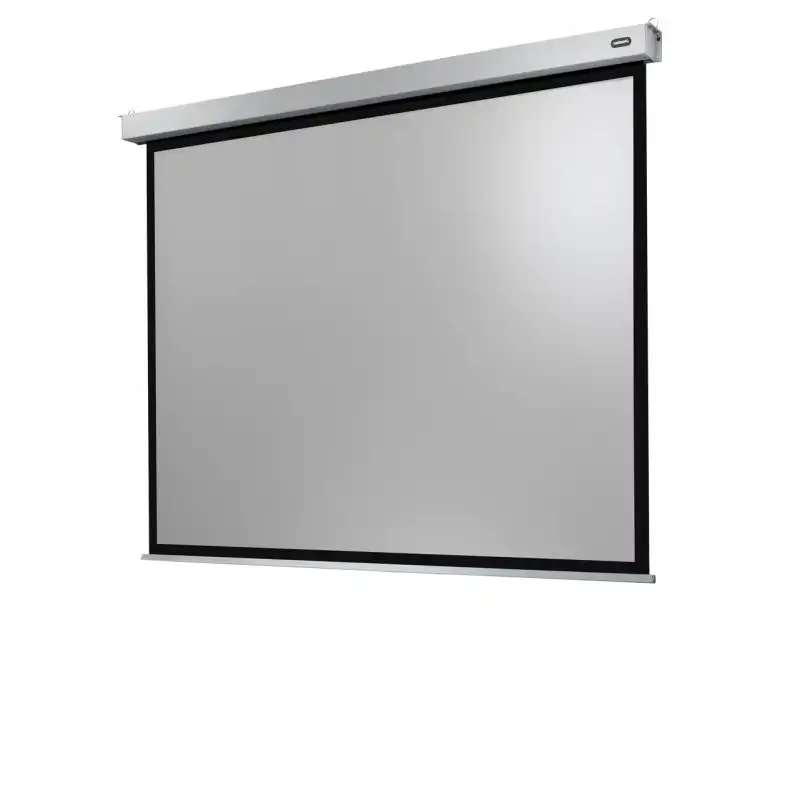 Celexon Electric Professional Plus Pantalla de Proyección Eléctrica 240x180 cm