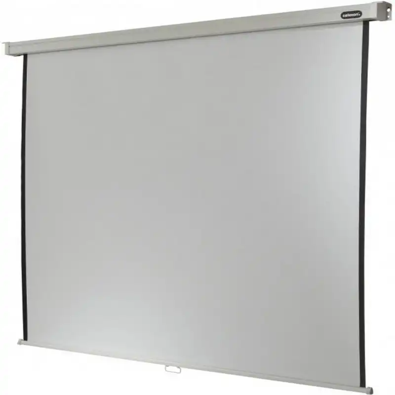Celexon Professional Pantalla de Proyección Manual 86" 160x160cm